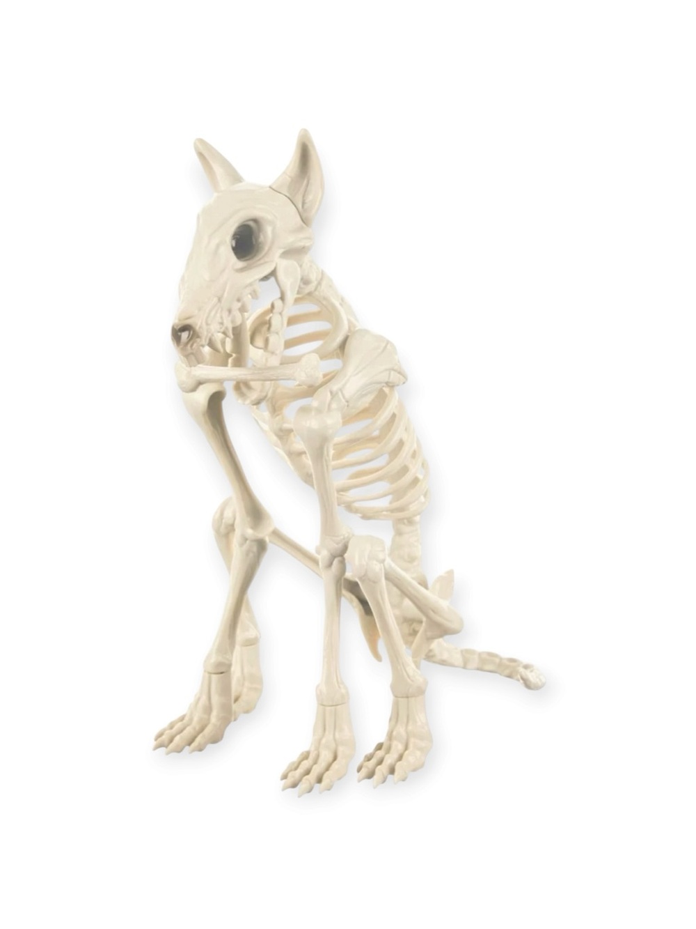 New! Dog Skeleton Halloween Decorations Toy - Bone